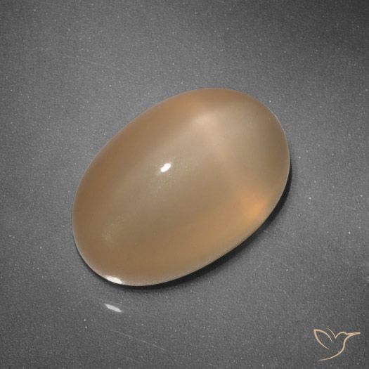 5.37ct Natural Naranja medio Piedra lunar estrella, Ovalada, Translúcido