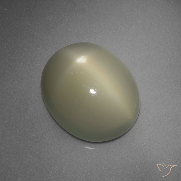 5.67ct Natural Gris-amarillo medio Piedra lunar estrella, Ovalada, Translúcido, Photo A