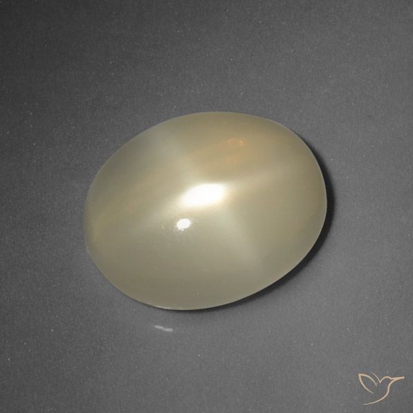 5.66ct Natural Amarillo claro Piedra lunar estrella, Ovalada, Translúcido