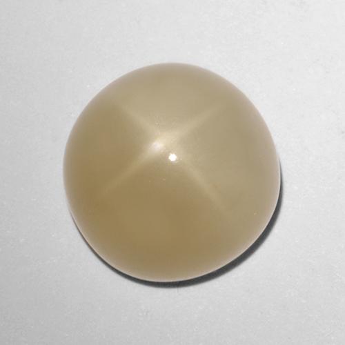 Piedra de luna estrella marrón natural de 5,72 ct, corte redondo, translúcido