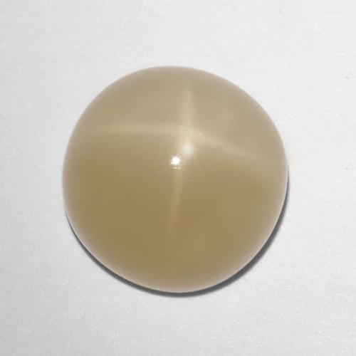 Piedra de luna estrella marrón natural de 5,72 ct, corte redondo, translúcido