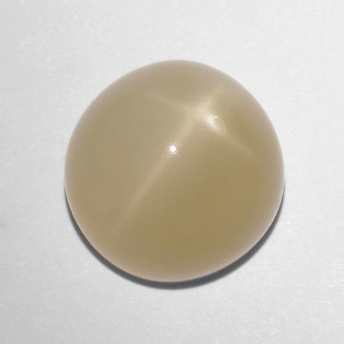 Piedra de luna estrella marrón natural de 5,72 ct, corte redondo, translúcido