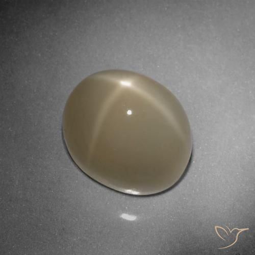 9.79ct Natural Marrón tortilla claro Piedra lunar estrella, Ovalada, Translúcido, Photo A
