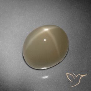 Piedra lunar estrella Marrón tortilla claro natural de 9.79 ct, Ovalada, Translúcido