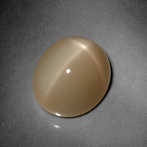 Piedra de luna estrella naranja natural de 10,13 ct, corte óvalo, translúcido