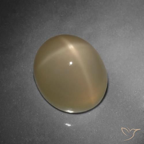 10.80ct Natural Naranja oscuro medio Piedra lunar estrella, Ovalada, Translúcido, Photo A