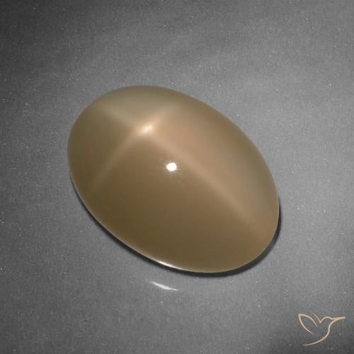 9.26ct Natural Naranja cantaloupe Piedra lunar estrella, Ovalada, Translúcido