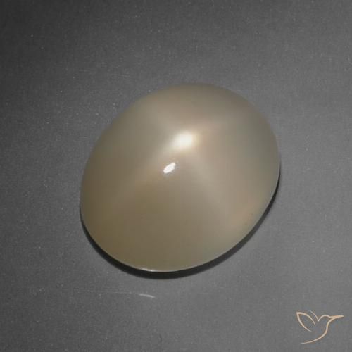 7.89ct Natural Marrón pálido Piedra lunar estrella, Ovalada, Translúcido