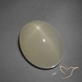 Piedra lunar estrella Marrón claro natural de 7.55 ct, Ovalada, Translúcido