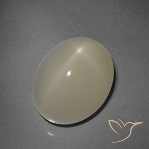 Piedra lunar estrella Marrón claro natural de 7.55 ct, Ovalada, Translúcido