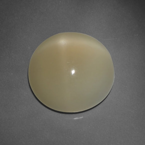 Piedra de luna estrella marrón natural de 7,63 ct, corte redondo, translúcido