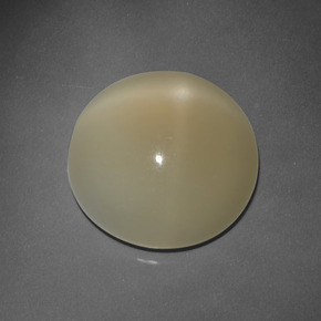 Piedra de luna estrella marrón natural de 7,63 ct, corte redondo, translúcido