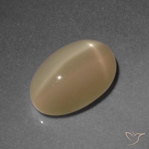4.67ct Natural Naranja medio Piedra lunar estrella, Ovalada, Translúcido