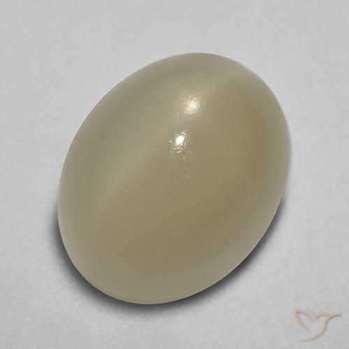 7.26ct Natural Marrón café claro Piedra lunar estrella, Ovalada, Translúcido