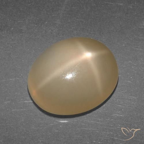 5.27ct Natural Naranja oscuro medio Piedra lunar estrella, Ovalada, Translúcido