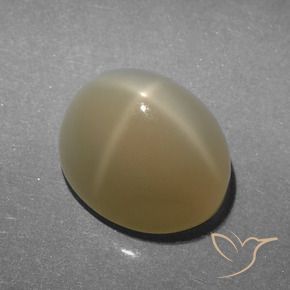 Piedra lunar estrella Marrón muy claro natural de 5.23 ct, Ovalada, Translúcido