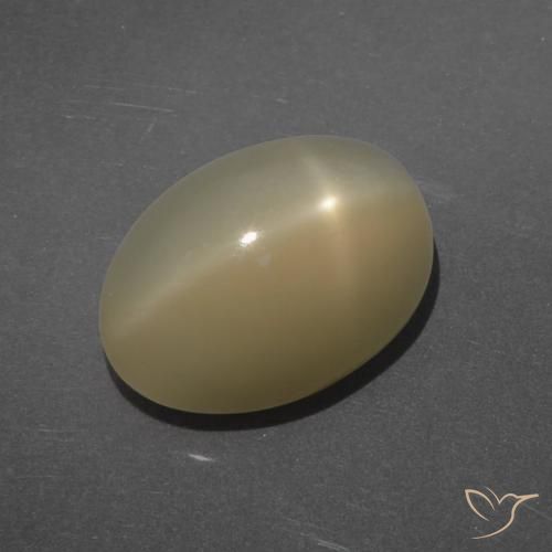 7.14ct Natural Marrón claro Piedra lunar estrella, Ovalada, Translúcido, Photo A