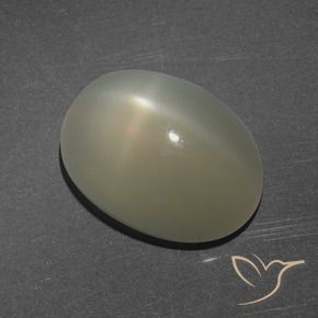 Piedra lunar estrella Marrón claro medio natural de 7.16 ct, Ovalada, Translúcido