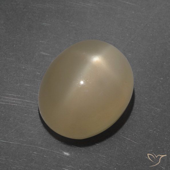 7.35ct Natural Naranja oscuro medio Piedra lunar estrella, Ovalada, Translúcido