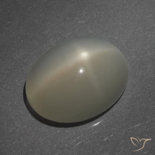 7.62ct Natural Marrón café claro Piedra lunar estrella, Ovalada, Translúcido