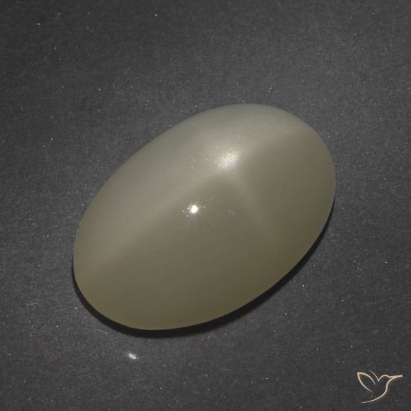 7.66ct Natural Marrón café claro Piedra lunar estrella, Ovalada, Translúcido
