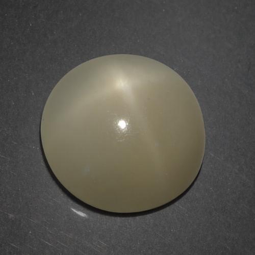 Piedra de luna estrella marrón natural de 7,18 ct, corte redondo, translúcido