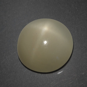 Piedra de luna estrella marrón natural de 7,18 ct, corte redondo, translúcido