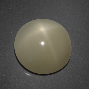 Piedra de luna estrella marrón natural de 7,18 ct, corte redondo, translúcido