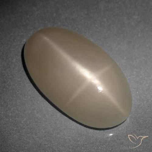 9.34ct Natural Naranja oscuro medio Piedra lunar estrella, Ovalada, Translúcido
