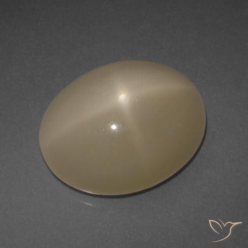 6.95ct Natural Naranja oscuro medio Piedra lunar estrella, Ovalada, Translúcido