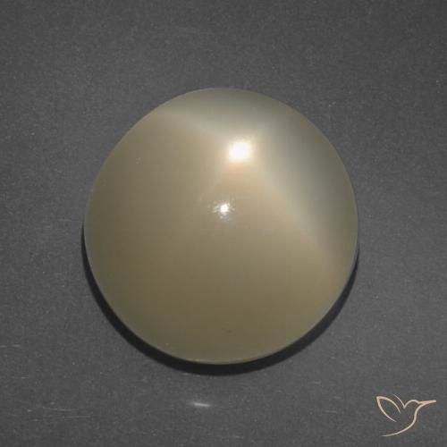 11.34ct Natural Marrón café claro Piedra lunar estrella, Redondo, Translúcido