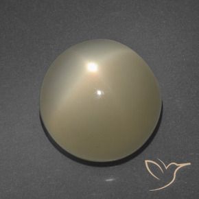 Piedra lunar estrella Marrón café claro natural de 11.34 ct, Redondo, Translúcido