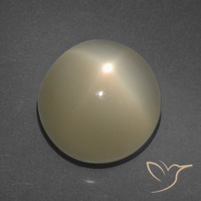 Piedra lunar estrella Marrón café claro natural de 11.34 ct, Redondo, Translúcido