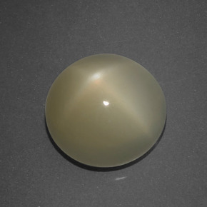 Piedra de luna estrella marrón natural de 5,09 ct, corte redondo, translúcido