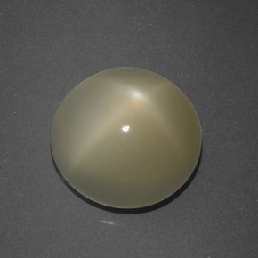 Piedra de luna estrella marrón natural de 5,09 ct, corte redondo, translúcido