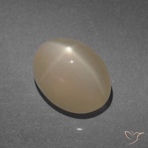 8.47ct Natural Marrón claro cálido Piedra lunar estrella, Ovalada, Translúcido, Photo A