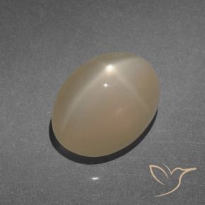 Piedra lunar estrella Marrón claro cálido natural de 8.47 ct, Ovalada, Translúcido
