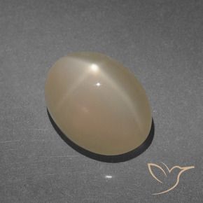 Piedra lunar estrella Marrón claro cálido natural de 8.47 ct, Ovalada, Translúcido