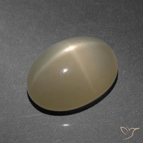 8.25ct Natural Marrón claro Piedra lunar estrella, Ovalada, Translúcido