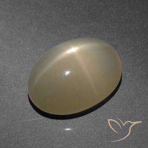 Piedra lunar estrella Marrón claro natural de 8.25 ct, Ovalada, Translúcido