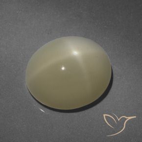 Piedra lunar estrella Marrón cálido claro natural de 6.51 ct, Ovalada, Translúcido