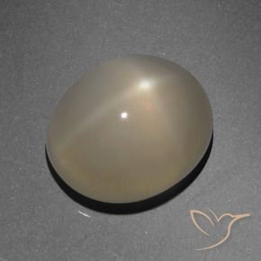 Piedra lunar estrella Marrón claro natural de 6.13 ct, Ovalada, Translúcido