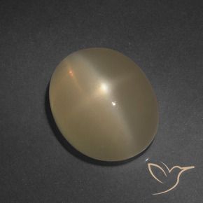 Piedra lunar estrella Marrón claro natural de 6.37 ct, Ovalada, Translúcido