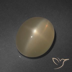 Piedra lunar estrella Marrón claro natural de 6.37 ct, Ovalada, Translúcido