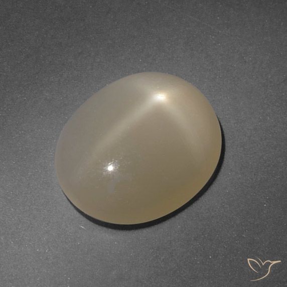 4.99ct Natural Marrón pálido Piedra lunar estrella, Ovalada, Translúcido, Photo A