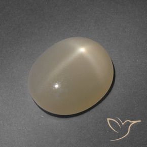 Piedra lunar estrella Marrón pálido natural de 4.99 ct, Ovalada, Translúcido