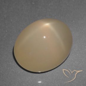 Piedra lunar estrella Marrón pálido natural de 5.74 ct, Ovalada, Translúcido
