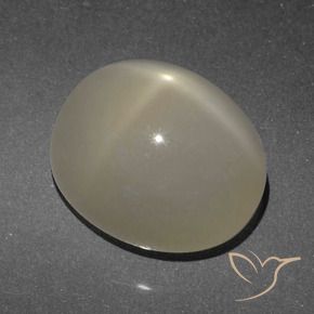Piedra lunar estrella Marrón claro natural de 6.84 ct, Ovalada, Translúcido