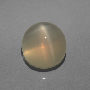 Piedra de luna estrella crema natural de 6,28 ct, corte redondo, translúcido