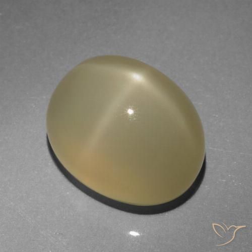 6.64ct Natural Marrón muy claro Piedra lunar estrella, Ovalada, Translúcido